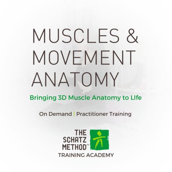 Muscles & Movement Anatomy