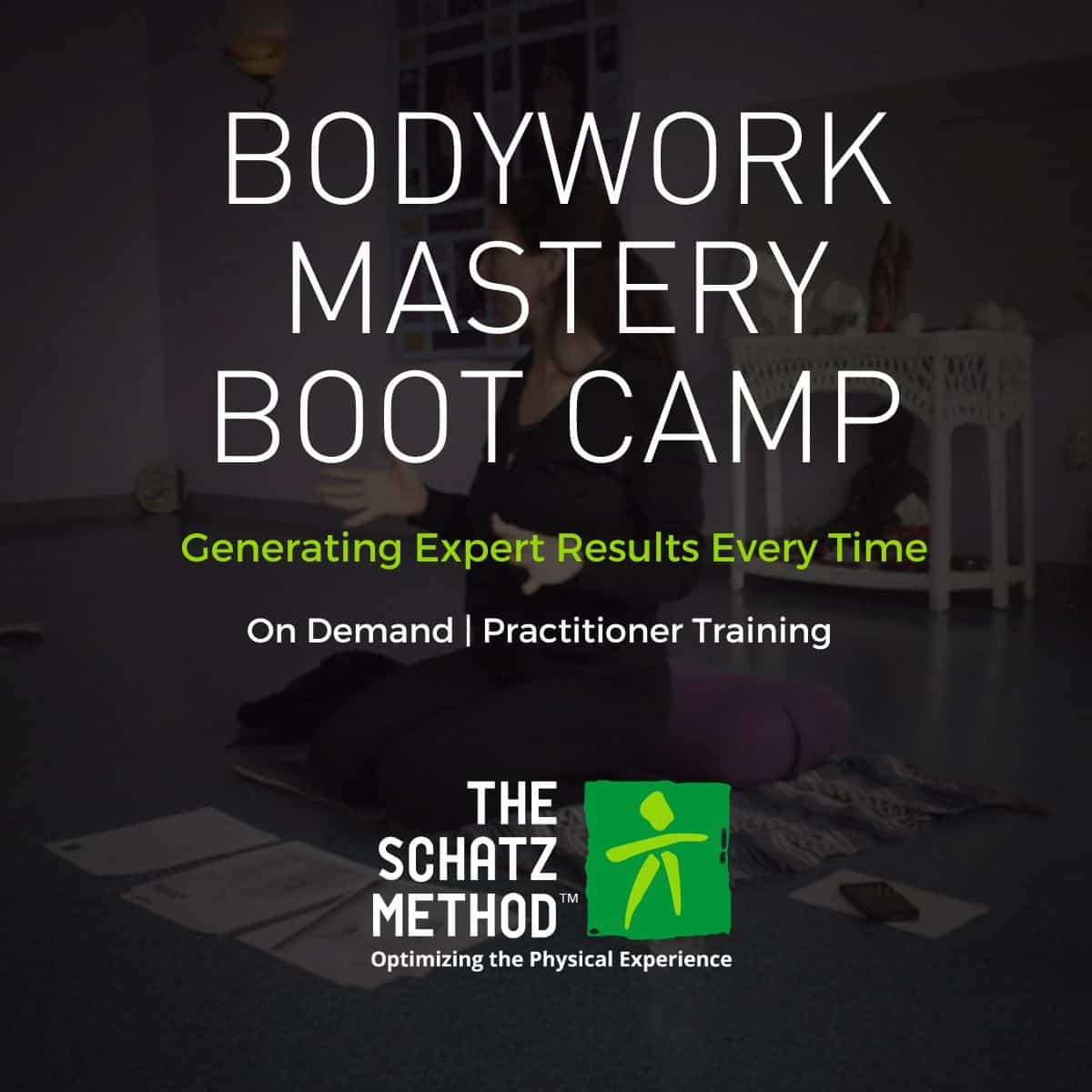 Bodywork Mastery Boot Camp The Schatz Method Training Academy