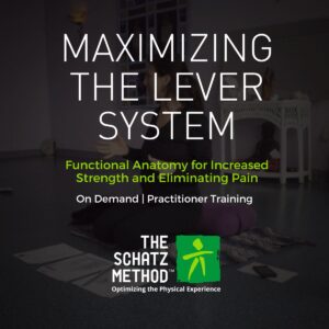 Maximizing the Lever System Masterclass