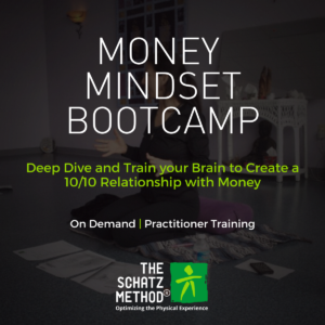 Money Magnifer Boot Camp [Replays]