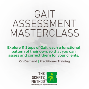 Gait Assessment Masterclass