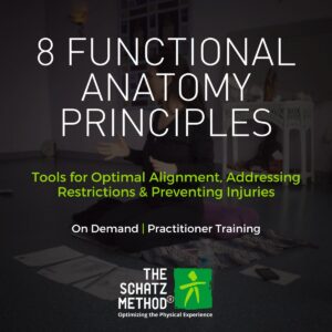 Functional Anatomy Principles
